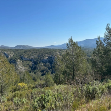 Paysage méditerranéen avec végétation sauvage, collines boisées et montagnes sous ciel bleu