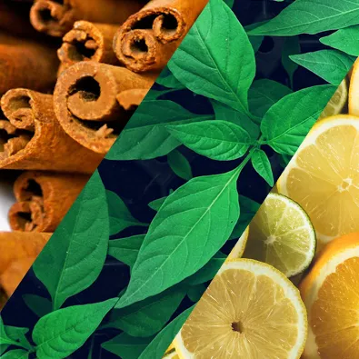 Natural ingredients: cinnamon sticks, green leaves and lemon slices for perfumery and cosmetics