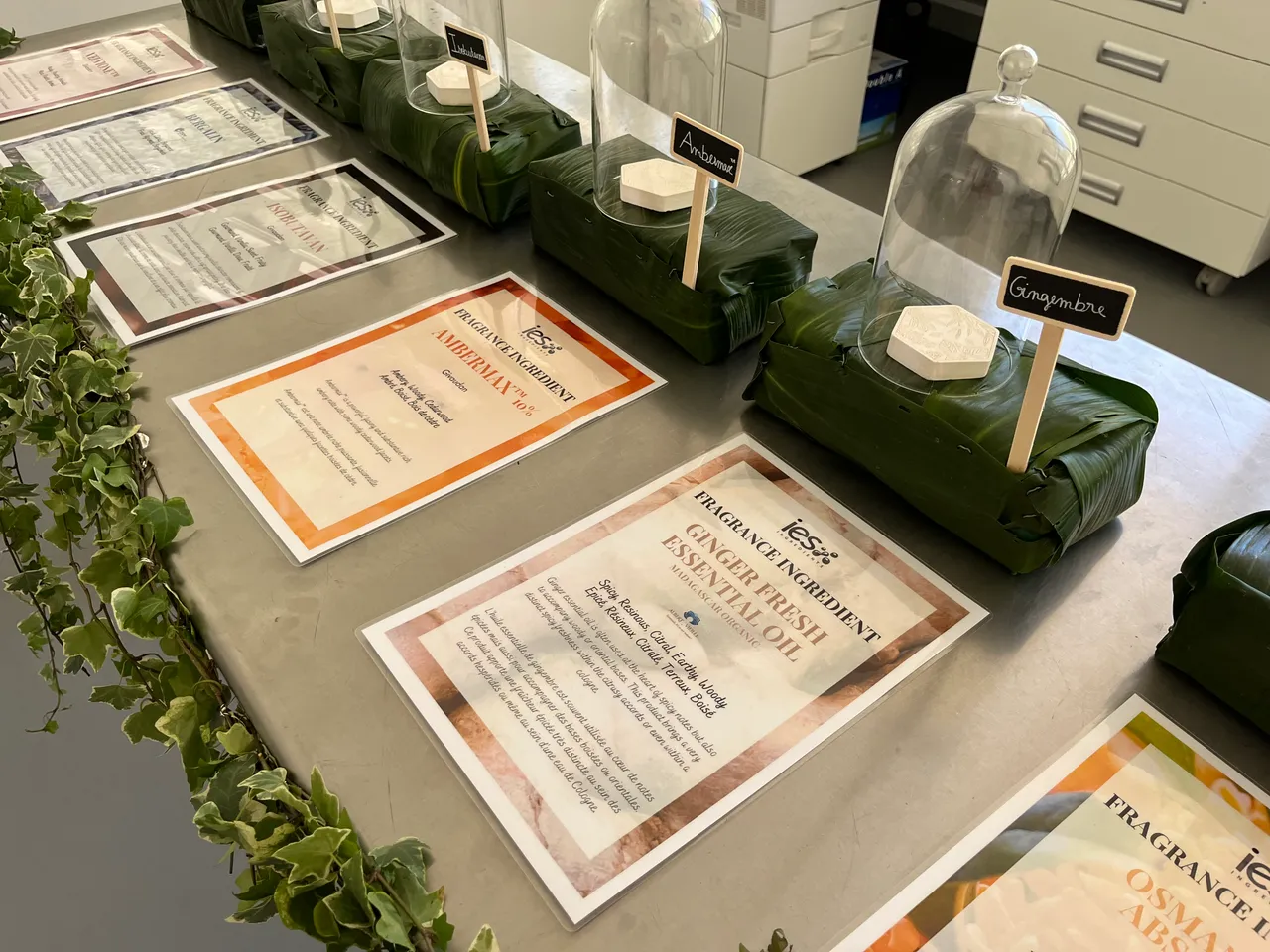 Certificats de fragrances et ingrédients cosmétiques IES Ingredients exposés avec échantillons sous cloches de verre